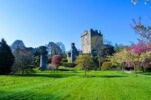 Irlanda, Un destino perfecto para aprender inglés.