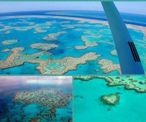 whitsunday arrecifes