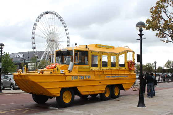 The yellow duckmarine-Liver