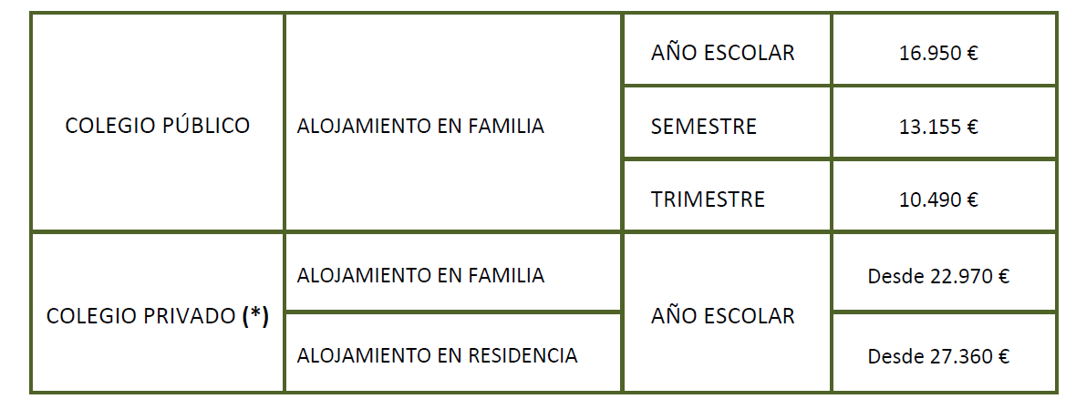 MicrosoftTeams-image (28)